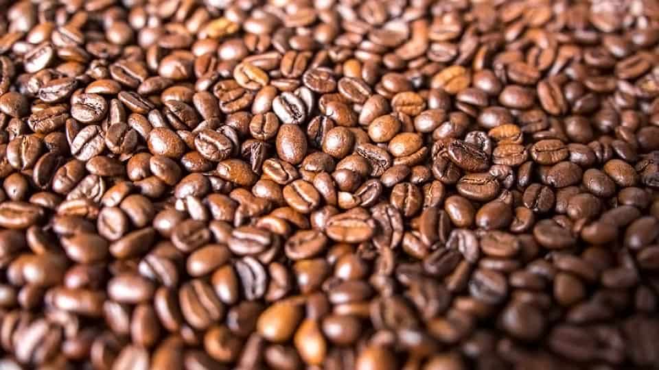 tipos de granos de café