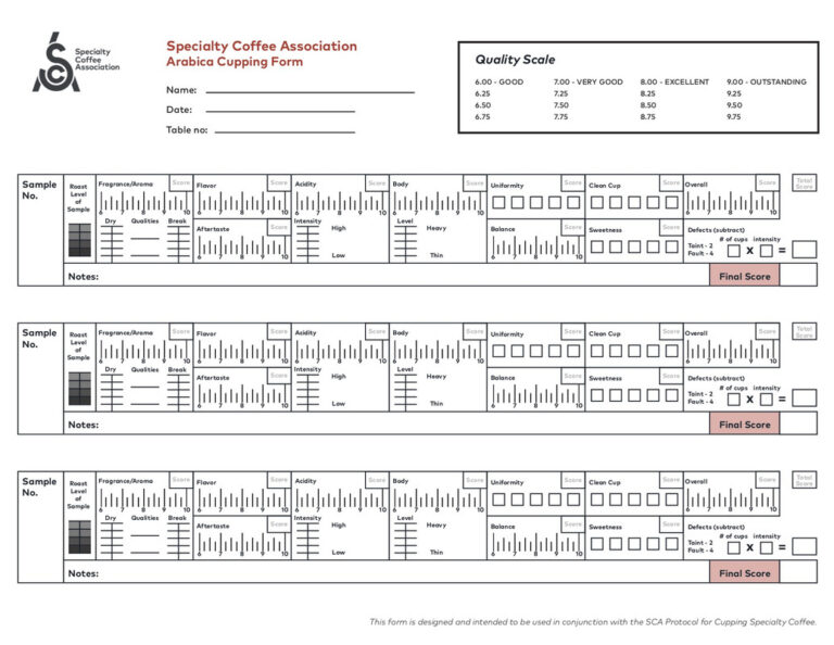 Sca Scale Calificación SCA: así se evalúa el café de especialidad - conCAFÉ