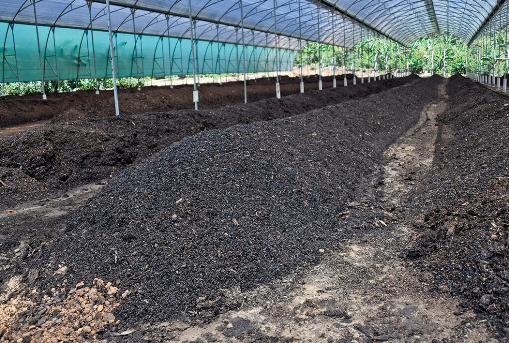 La imagen actual no tiene texto alternativo. El nombre del archivo es: dsc2964-660dd07a90a49.jpg